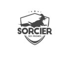Sorcier Prono Avis Fiabilité et retours d'expérience